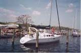 image1.jpg